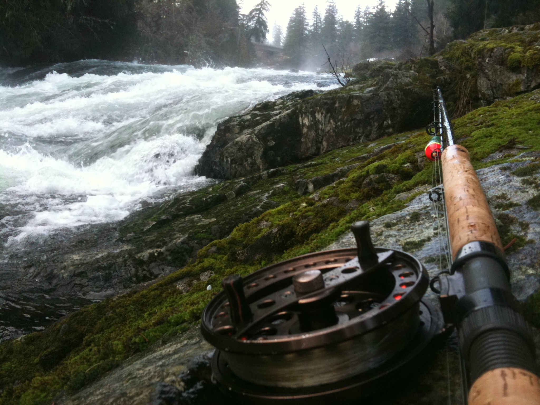 South Vancouver Island Fishing Report - The Fishing Experience : The Fishing Experience