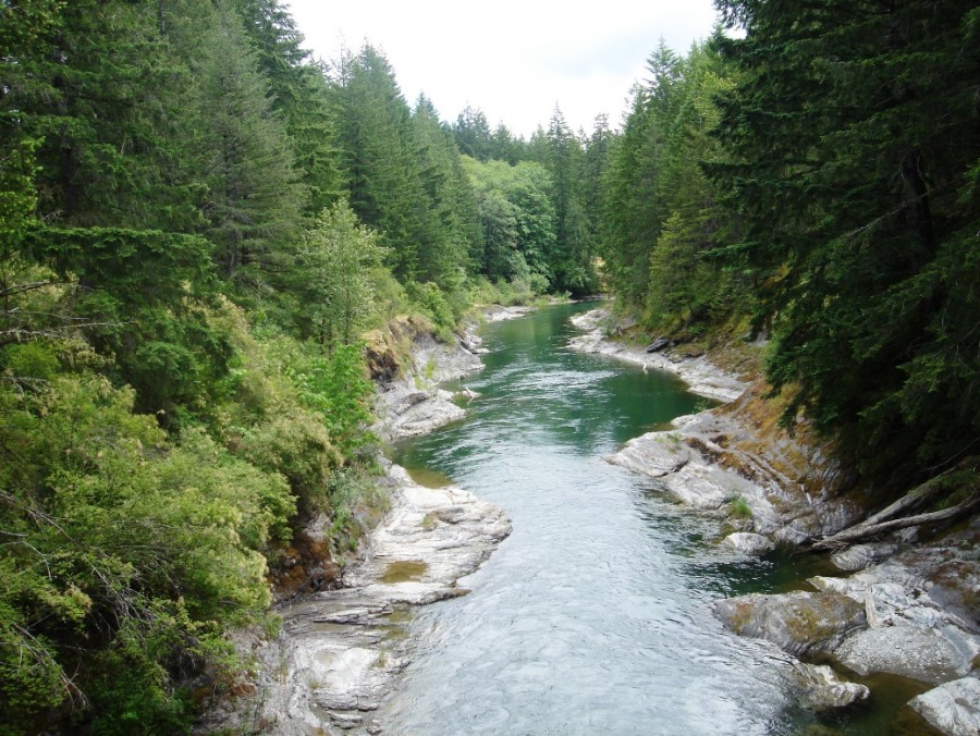 Cowichan River - Fly and Gear Fisherman's Paradise - The Fishing ...