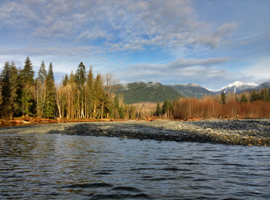 North Vancouver Island Steelheading! Salmon and Nimpkish River - The ...